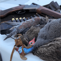 Wing-Shooting