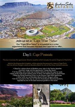 Wildlife and scenic views of Cape Peninsula during a safari tour.