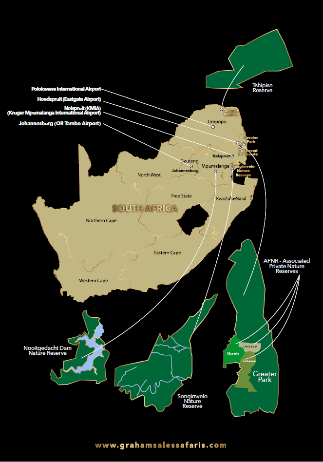 Bow Hunting South Africa