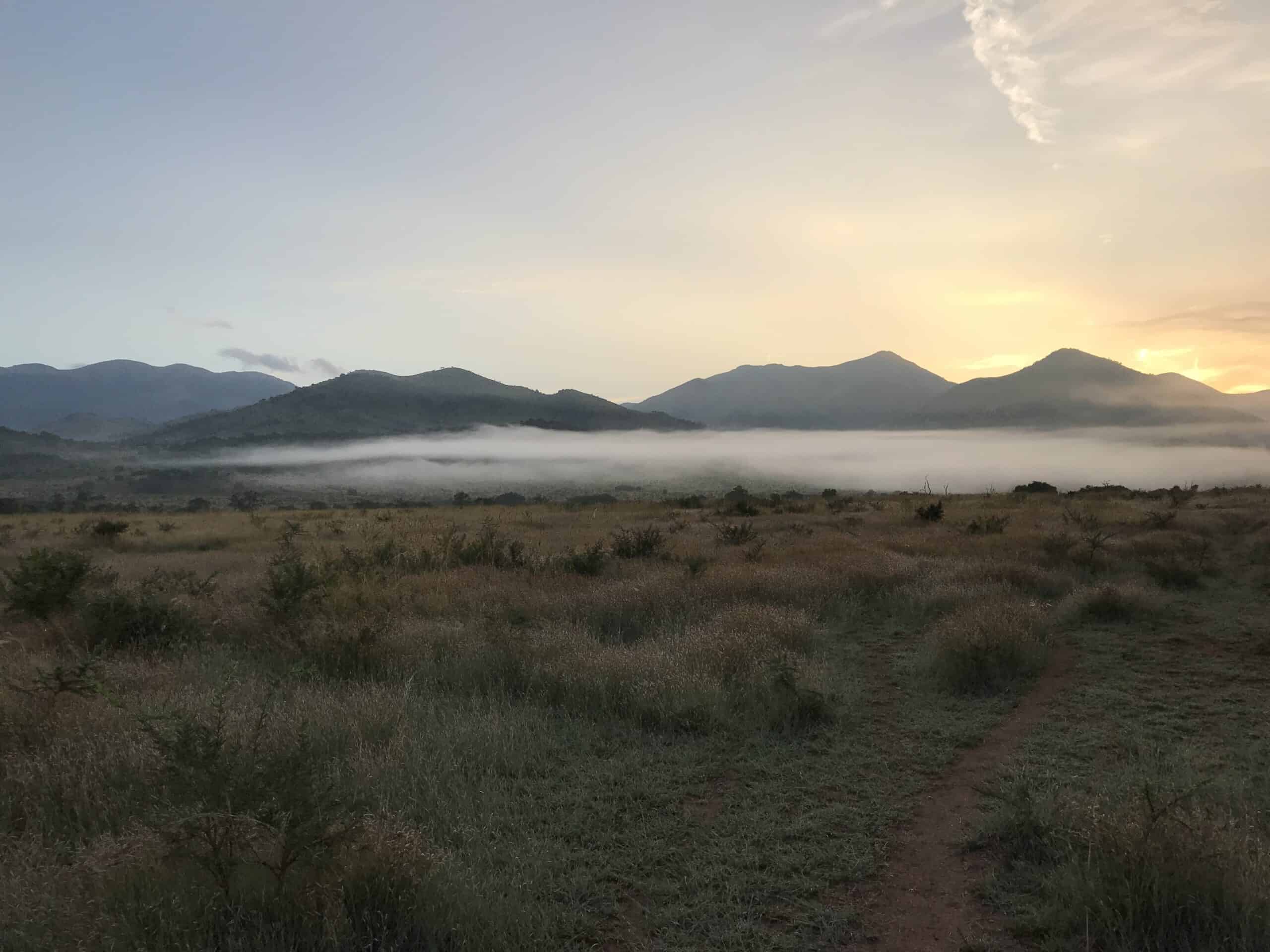 Hunting the African Reedbuck: A definitive guide to the Genus Redunca Scenic sunrise over mountains and plains in Africa.
