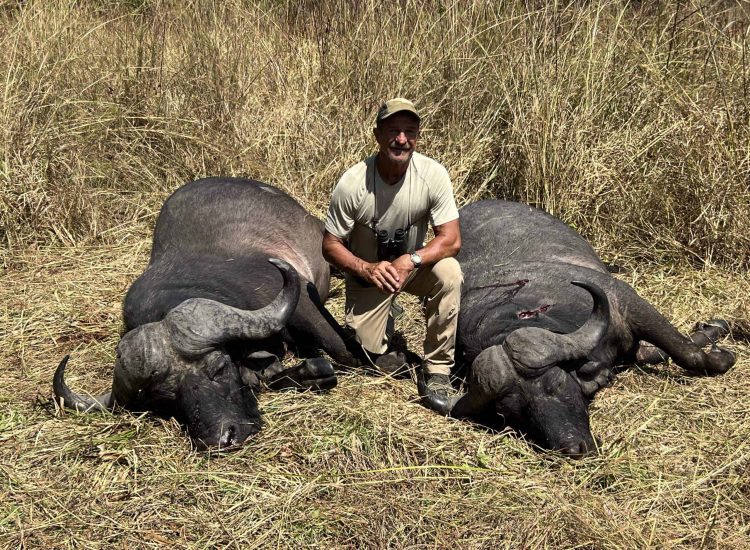 Hunting Rates Mozambique Safari guide with two dead elephants in grassland.