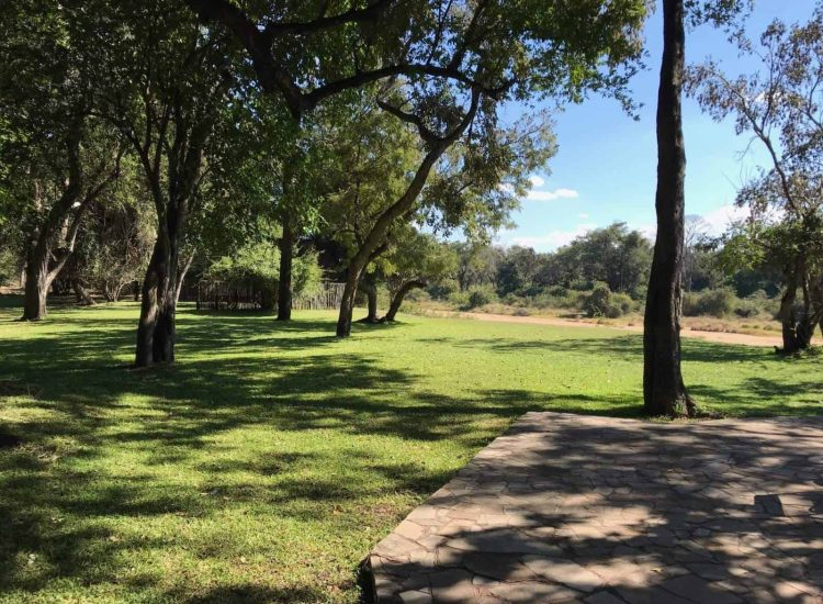 Zimbabwe Hunting Beautiful park scene with trees, grass, and a clear blue sky.